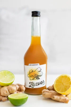 Zázvor